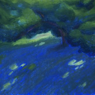 L'ombre bleue