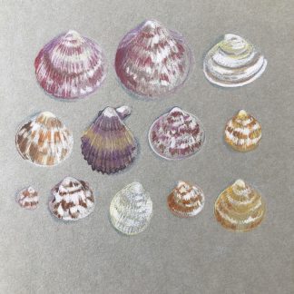 Collection 2