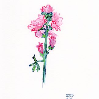 Mauve